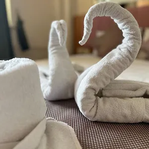 ديفاس سيلفر فندق اسطنبول